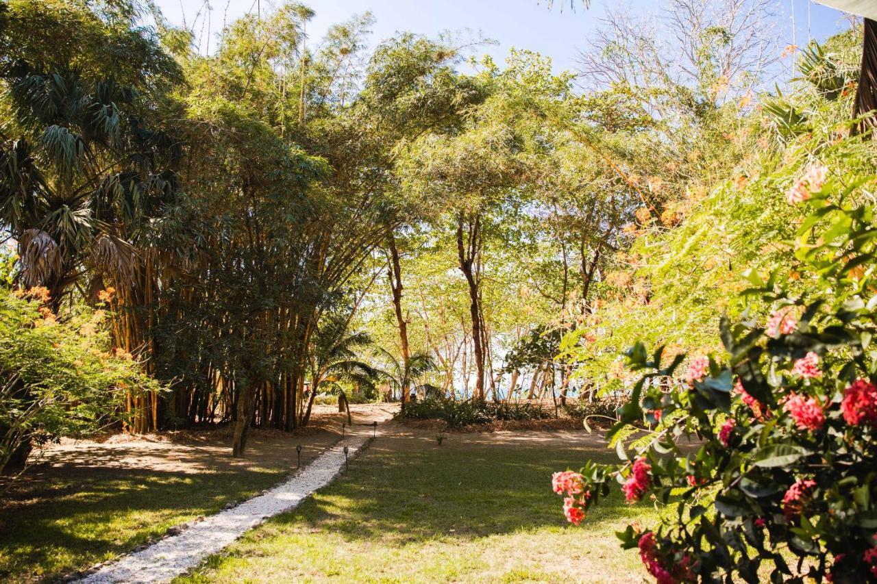 Villas Almendros Playa Santa Teresa  外观 照片
