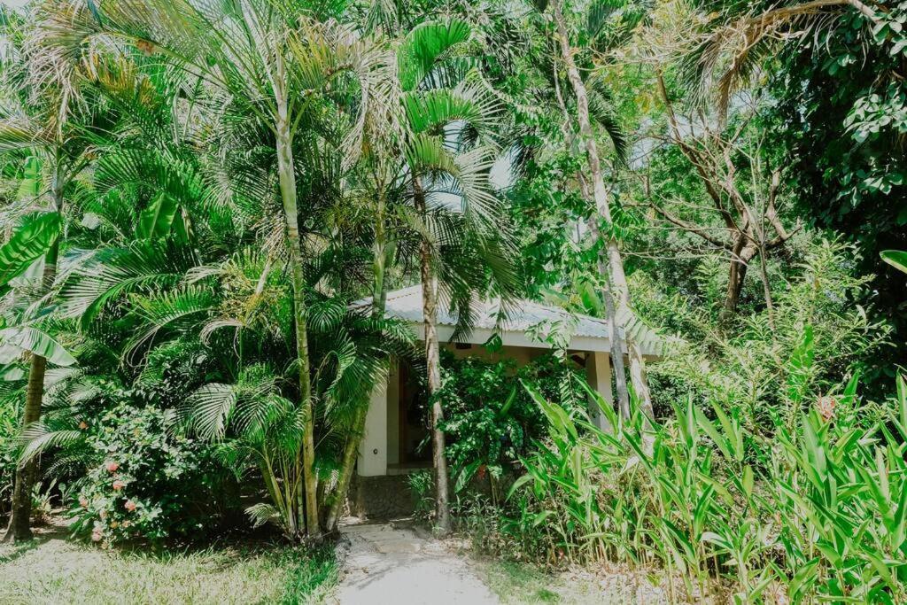 Villas Almendros Playa Santa Teresa  外观 照片